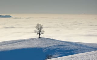 Картинка природа, гора, дерево, снег, зима, облачно, облачный, облака, туман, дымка