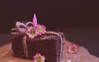 Картинка брауни, шоколад, десерт, торт, цветок, цветы, растение, растения, цветочный