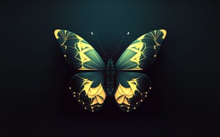 Картинка бабочка, насекомое, насекомые, природа, арт, рисунок, темный