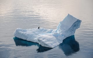 Картинка лед, айсберг, Антарктика, океан, природа