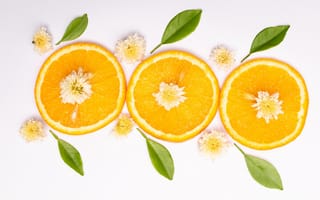 Картинка апельсин, цитрус, фрукт, фрукты, ломтик, цветок, цветущий