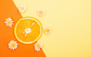 Картинка апельсин, цитрус, фрукт, фрукты, ломтик, цветок, цветущий, оранжевый