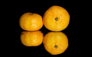 Картинка мандарин, цитрус, фрукт, фрукты, отражение