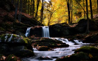 Картинка осень, осенние, время года, сезоны, сезонные, лес, деревья, дерево, природа, озеро, пруд, вода, водопад