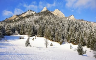 Картинка горы, гора, природа, пейзаж, лес, деревья, дерево, снег, зима