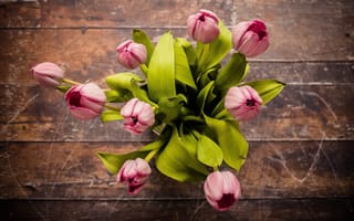 Картинка тюльпан, цветок, цветы, растение, растения, цветочный, букет