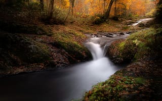 Картинка природа, пейзаж, река, ручей, лес, деревья, дерево, осень