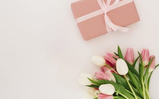 Картинка тюльпан, цветок, цветы, растение, растения, цветочный, подарок, букет