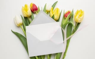 Картинка тюльпан, цветок, цветы, растение, растения, цветочный, письмо, конверт