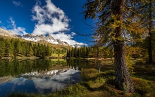 Картинка лес, деревья, дерево, природа, озеро, пруд, вода, пейзаж, гора, небо, облака, туча, облако, тучи