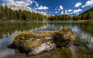 Картинка озера, озеро, природа, вода, пейзаж, гора, лес, деревья, дерево