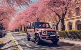 Картинка Mercedes Benz, Mercedes-Benz, Mercedes, Мерседес, AMG, машины, машина, тачки, авто, автомобиль, транспорт, город, здания, весна, дерево, цветение, цветок