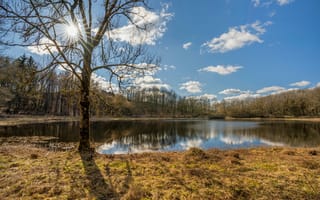 Картинка озера, озеро, природа, вода, пейзаж, лес, деревья, дерево, облака, туча, облако, тучи, небо, отражение