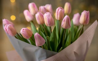 Картинка тюльпан, цветок, цветы, растение, растения, цветочный, букет, розовый