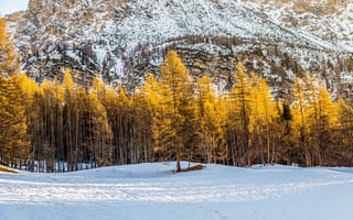 Картинка зима, зимние, время года, сезоны, сезонные, гора, снег, лес, деревья, дерево, природа