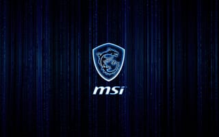 Картинка лого, логотип, разные, msi, технологии