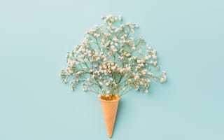 Картинка гипсофила, цветок, цветы, растение, растения, цветочный, вафельный рожок, рожок, вафля, вафли, сладость, сладости