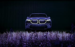 Картинка BMW, бмв, XM Mystique, Allure, машины, машина, тачки, авто, автомобиль, транспорт, луг, фиолетовый, ночь, цветок