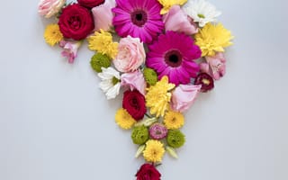 Картинка цветок, цветы, растение, растения, цветочный, хризантема, гербера