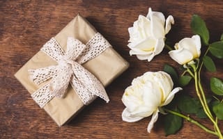 Картинка пион, цветок, цветущий, цветы, растение, растения, цветочный, подарок, бант, лента, белый