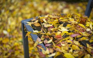 Картинка осень, осенние, время года, сезоны, сезонные, природа, лист, листья, листва, желтый, скамейка