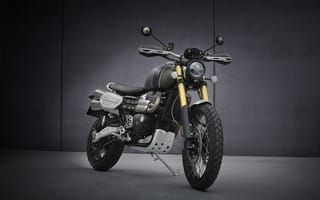 Картинка Triumph, Scrambler, 1200 XC, байк, мотоцикл, черный