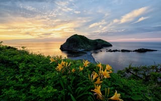 Картинка океан, море, вода, природа, берег, побережье, остров, небо, облака, туча, облако, тучи, вечер, закат, заход, цветок