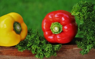 Картинка перец, фрукты, фрукт, красный, желтый, петрушка, зеленый