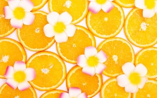 Картинка апельсин, цитрус, фрукт, фрукты, цветок, цветущий