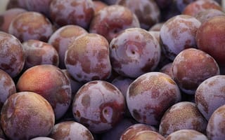 Картинка сливы, фрукты, еда, натюрморт, свежие, плод, красота