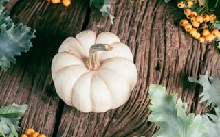 Картинка тыква, осень, природа, декор, растения, фрукты, фоновое изображение