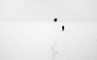 Картинка Снег, Одинокий человек, Голое дерево, Одиночество