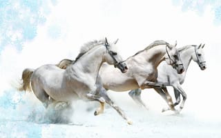 Картинка Тройка лошадей