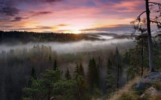 Картинка Национальный парк Нууксио, Финляндия