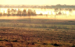 Картинка Утренний туман осенью
