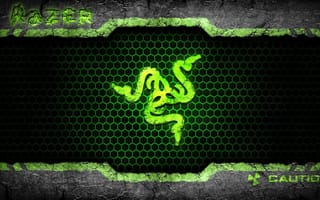 Картинка Значок из змей компании Razer