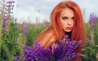 Картинка Длинноволосая рыжая девушка в поле лаванды