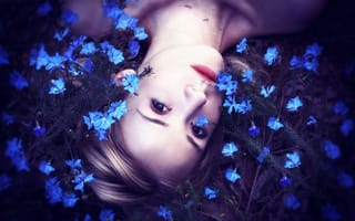 Картинка Девушка среди маленьких голубых цветов