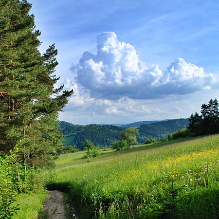 Заставки на стол hd