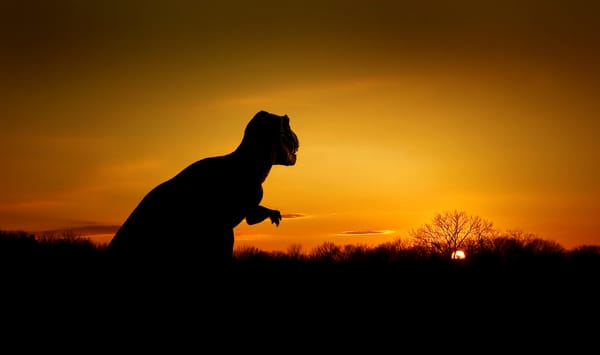 Обои закат, T-Rex, динозавр, Тираннозавр, Tyrannosaurus, небо