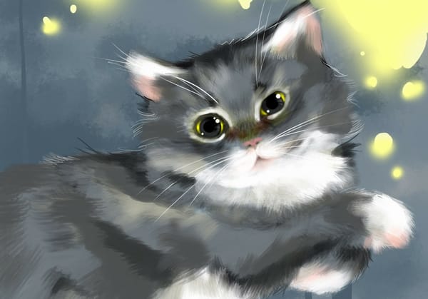 Обои рисунок, кошка, кот, пушистая