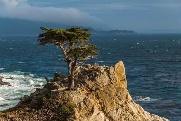 Обои Lone Cypress, California, Калифорния, побережье, скала, Тихий океан, кипарис, Монтерей, Monterey Peninsula, дерево, Pacific
