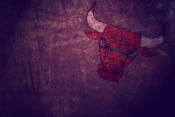 Обои Chicago Bulls, бык, минимализм, кожа