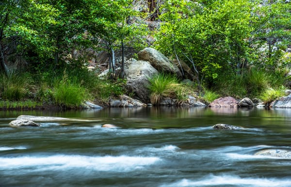 Обои деревья, течение, кусты, берег, река, Kern River, США, Калифорния, камни