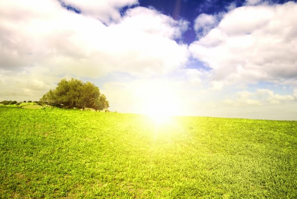 Обои Green scenery, солнце, горизонт, лето, облака, небо, beautiful clouds, field landscape, трава, summer sun, жаркое, поле, grass, nature outside, природа, пейзаж