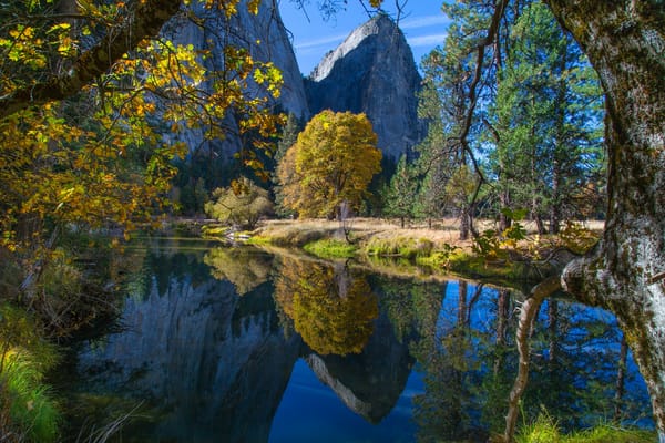Обои США, осень, Yosemite National Park, лес, деревья, Калифорния, горы, река