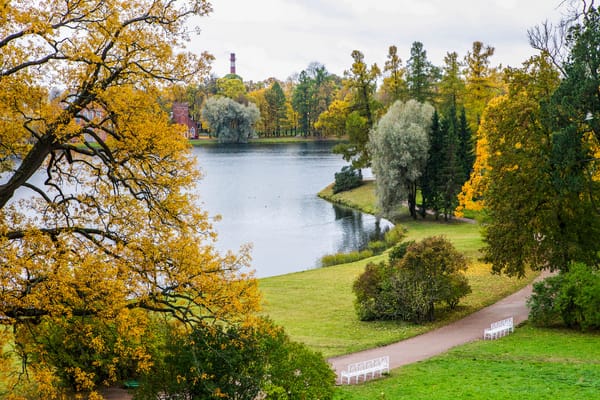 Обои санкт-петербург, пруд, осень, Россия, St. Petersburg, питер, Russia, Царское село