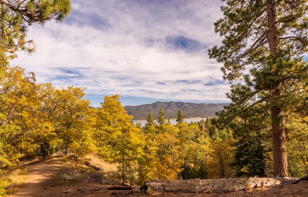 Обои США, озеро, деревья, Big Bear Lake, осень, Калифорния, горы