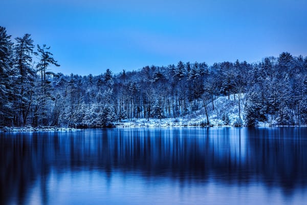 Обои Haviland Cove Park, деревья, Glens Falls, NY, снег, озеро, зима, парк
