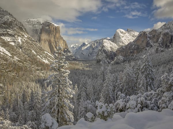 Обои лес, Sierra Nevada, Национальный парк Йосемити, Йосемити, Сьерра-Невада, долина, снег, Yosemite National Park, Калифорния, California, зима, горы
